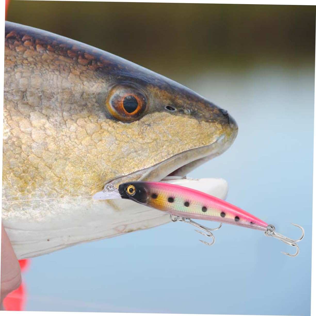 ifundom 3 Series Señuelo Cebo Largo Pequeño Oms Accesorios Señuelos De Pesca Nadar Señuelo De Natación Biónico Señuelo De Pesca En Hielo Material Plastico Abs Color Aleatorio 6 Piezas*3