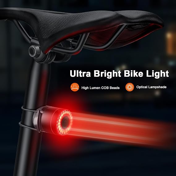 Bike Light for Night Riding