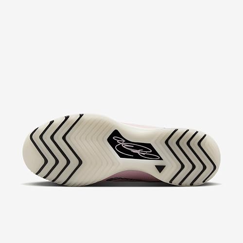 Lebron NXXT Genisus Basketball Shoes (HF0712-602, Pink Foam/Black