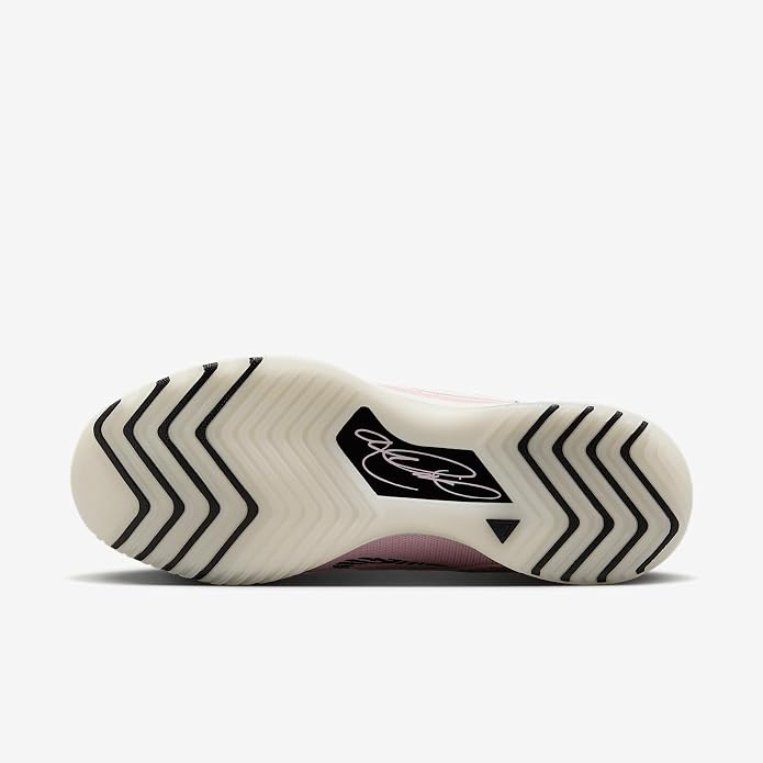 Lebron NXXT Genisus Basketball Shoes (HF0712-602, Pink Foam/Black