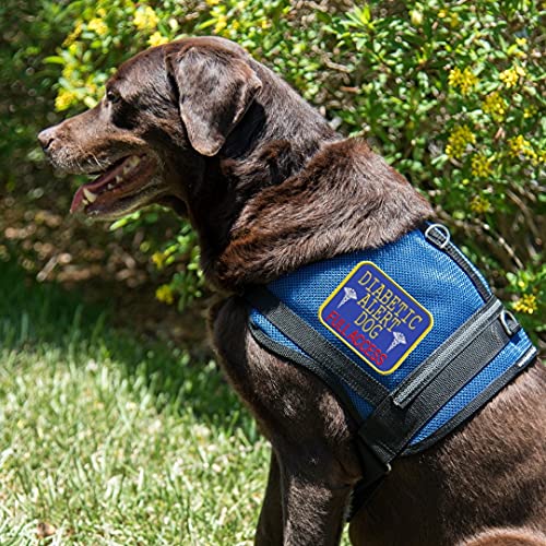 "Diabetic Alert Dog - Full Access" Sew On Patch - Includes Five Service Dog Law Handout Cards – For Service Dog Vest Or Harness #TOP6