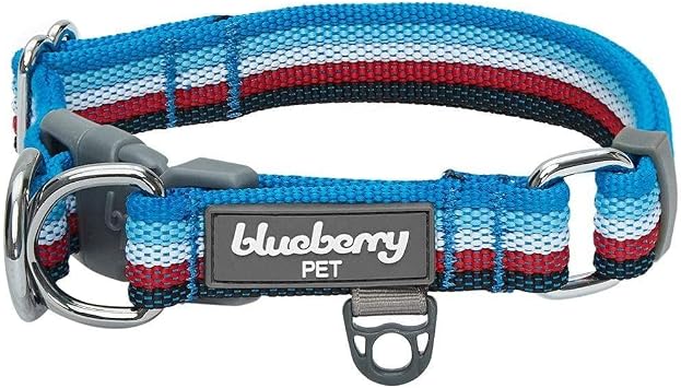 Blueberry Pet Dual D-Ring Safety Dog Collar | Adjustable Nylon Collar with Multicolor Stripes in Azure Blue and Raspberry Red| Durable Collar Size X-Large for Large Breeds