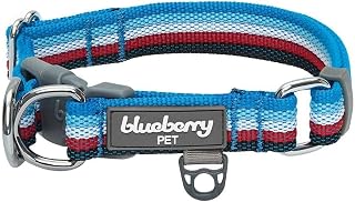 Dual D-Ring Safety Dog Collar | Adjustable Nylon Collar with Multicolor Stripes in Azure Blue and Raspberry Red| Durable Collar Size Small for Large Breeds