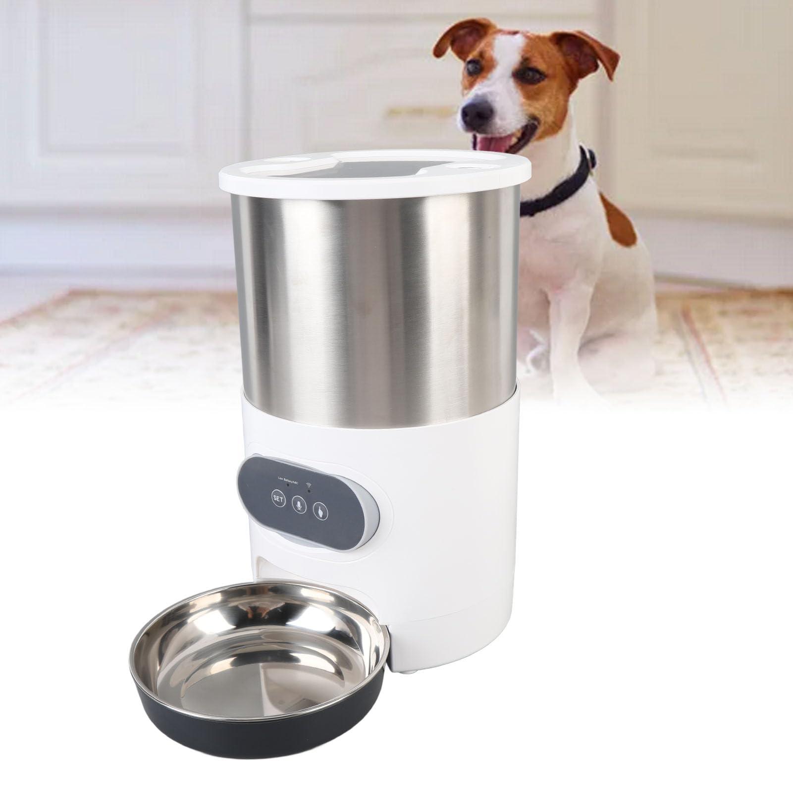 Generic Distributore Automatico di Cibo per Animali Domestici per Cani in Acciaio Inossidabile con Ciotole Doppie da 4 Litri, per la Casa, Tecnologia di Alimentazione Intelligente