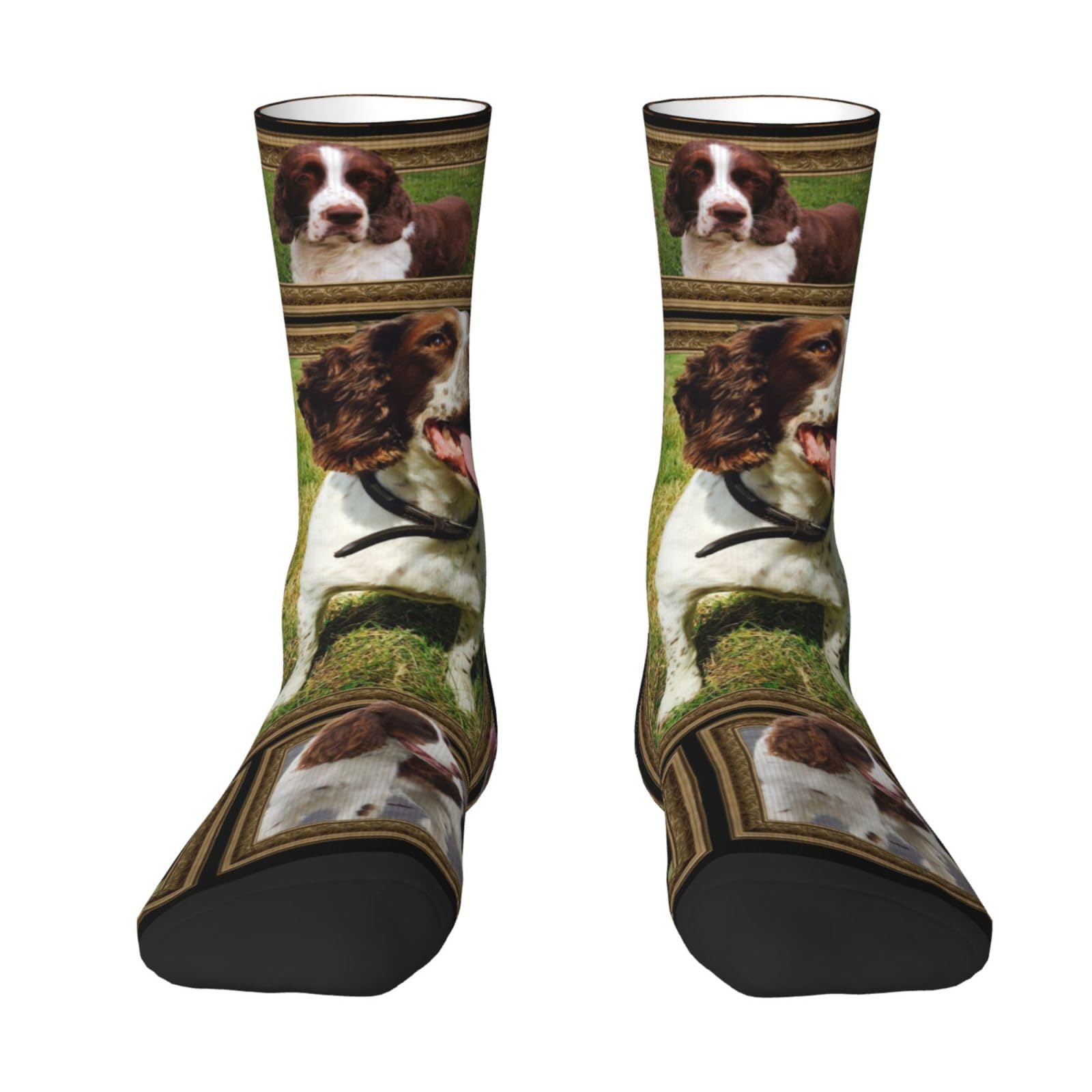 Fwjzdsp Unisex English Springer Spaniel Dog Socks Noveltys Athletic Calf Socks For Adult Men Women