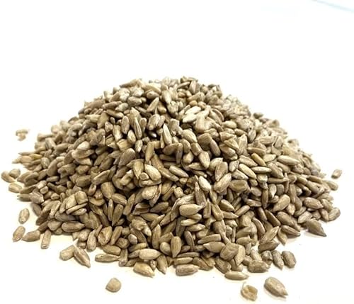 *NEW* Sunflower Hearts 500g Premium Wild Bird Food Seed SMW *NEW* Sunflower Hearts 500g Premium Wild Bird Food Seed SMW