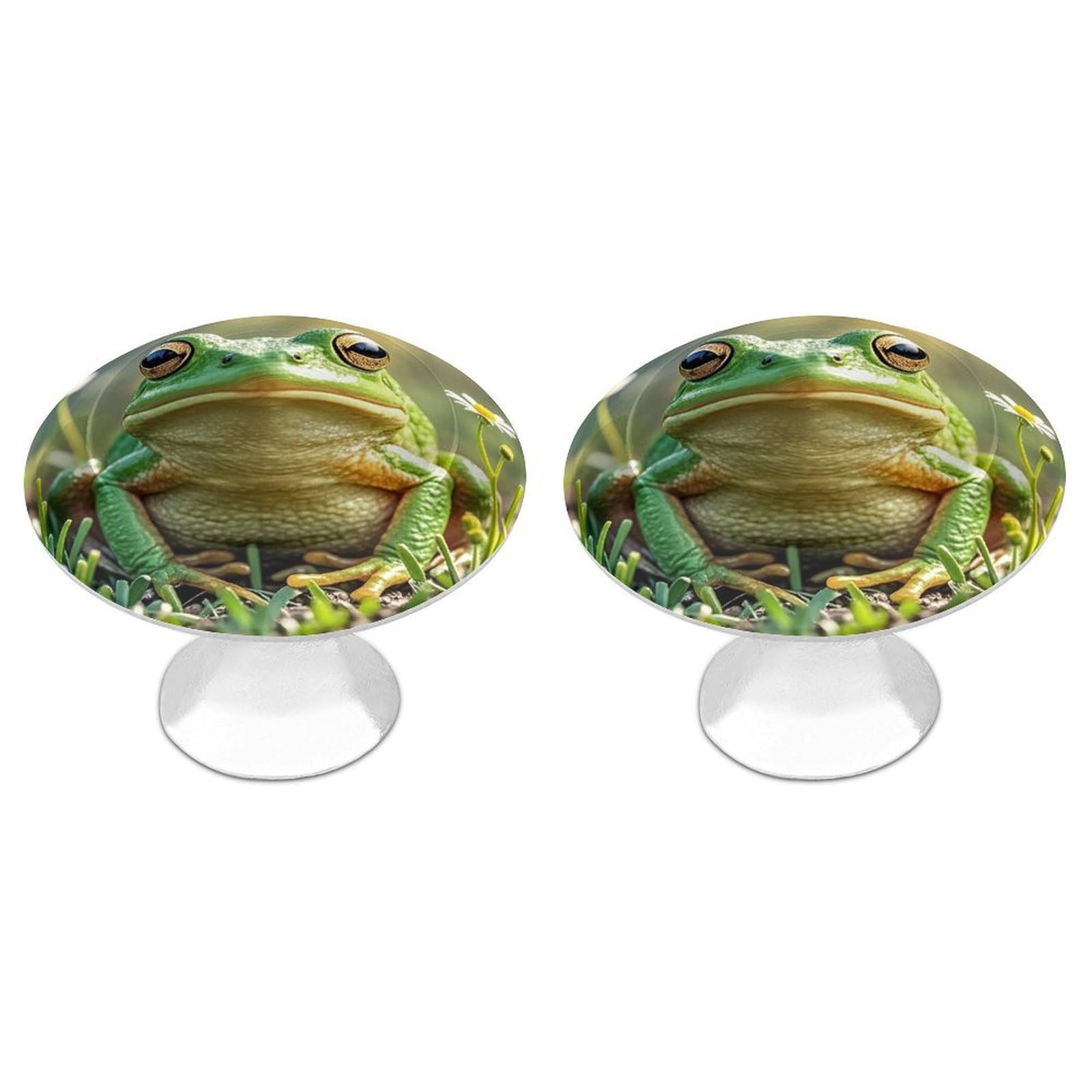 FekiLoot Round Cabinet Knob 2 Pack Kitchen Drawer Knobs Stainless Steel Round Drawer Pulls Modern Cabinet Hardware Cute Frog Drawer Hardware for Dresser Closet Door Knobs