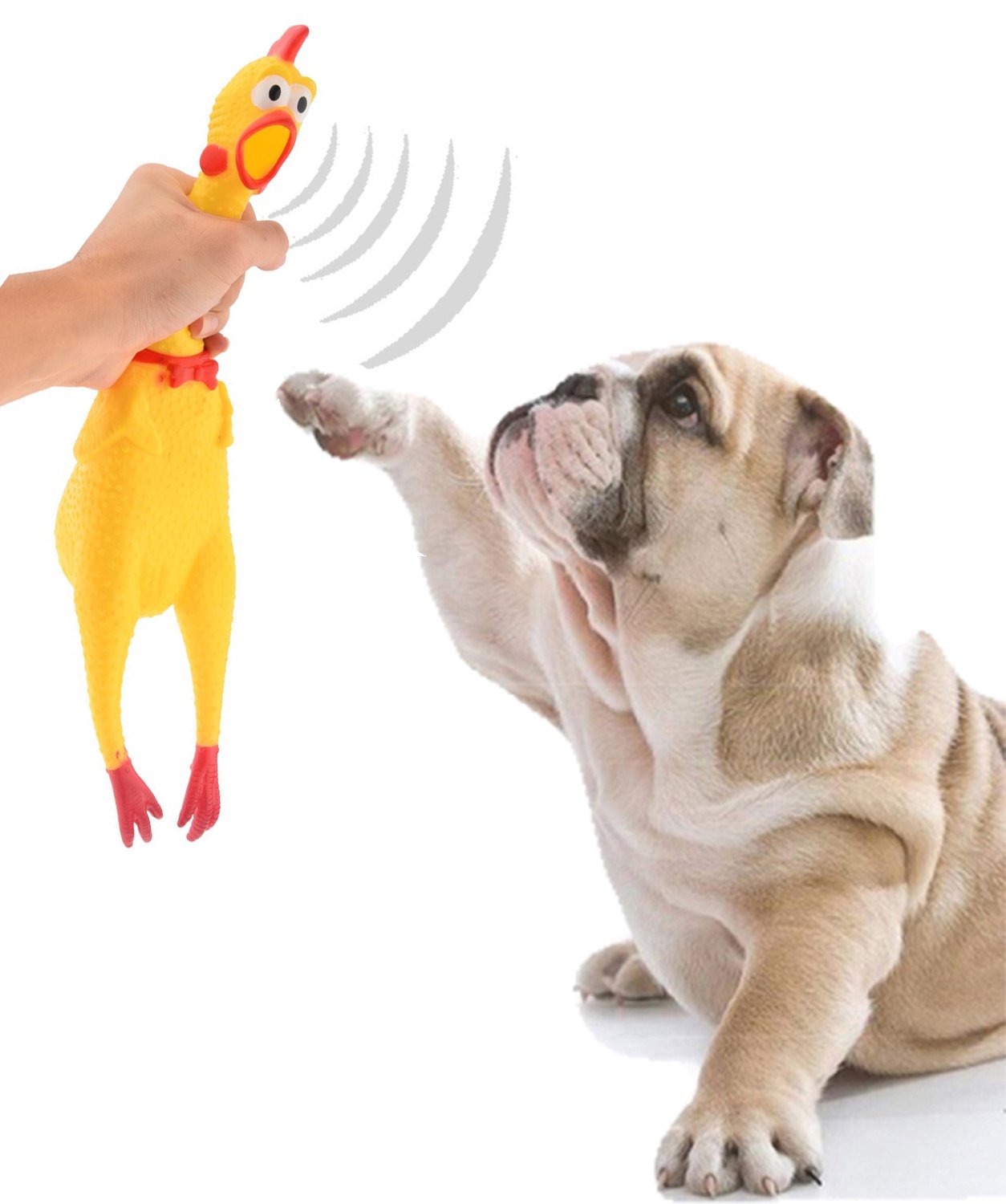 Sage Square Squeaky Big Chicken Toy: The Perfect Combination of Fun, Durability, and Safety for Your Four-Legged Pal, A Must-Have Interactive Dog Toy, an Interactive Experience Like No Other (32Cm) (B079SYJPM8) Amazon Price History, Amazon Price Tracker
