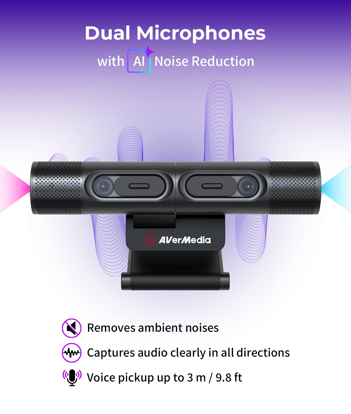 AVerMedia PW313D DUALCAM Webカメラ AVerMedia PW313D DualCam, Two Autofocus Cameras in 2K30fps and
