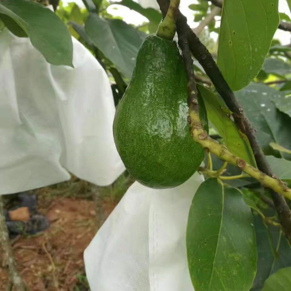 50 Bolsas De Red Para Proteger Frutas Y Plantas - Tejido No Tejido, Reutilizables, A Prueba De Pájaros E Insectos