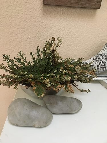 ubuy Turkmenistan