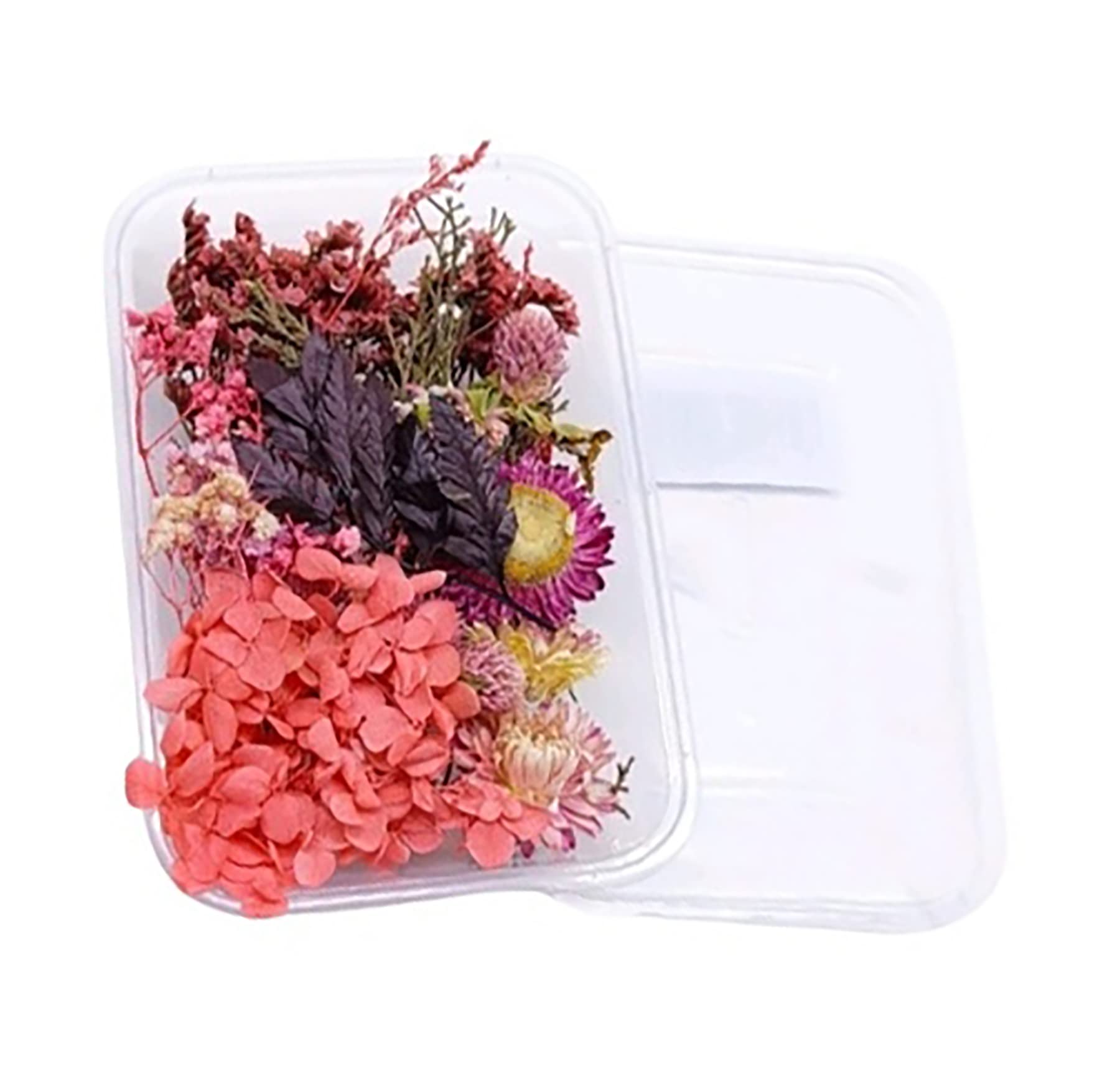 Natural Real Dried Flowers for Art Craft - Mixed & Multicolor for Soap, Artificial Candles, Scrapbooking, DIY, Resin Jewelry, Pendant - Flower 1-image-29