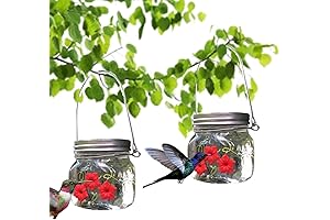 Sherem Mason Jar Hummingbird Feeder: The Nectar-Sipping Oasis for Hummingbirds