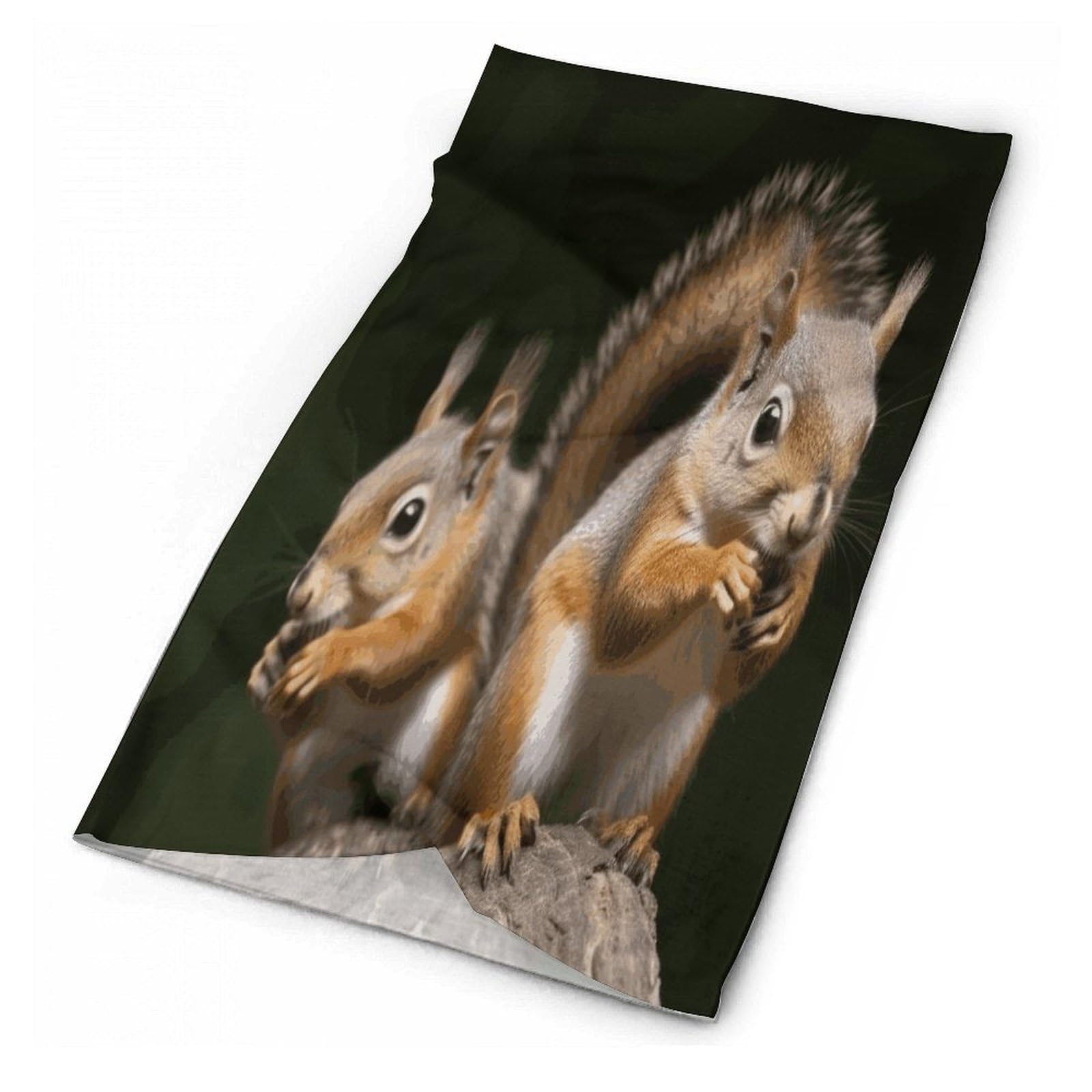 Seamless Multifunctional Magic Headscarf,Squirrel Animal Cycling Mask Warm And Versatile Face Scarf Neck Cover Windproof Neck Scarf