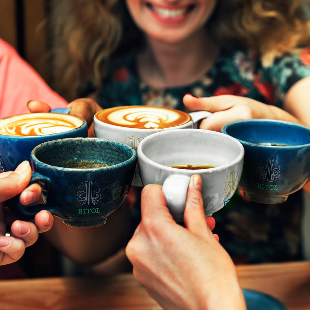 Cafés Bitol Pack 4 Cafe Mesoamérica 500 gr c/u | Costa Rica Tarrazú, Marcala Honduras, Flamingo Chiapas y Guatemala Antigua | Notas de Cítricos, Frutas, Caramelo y Cacao
