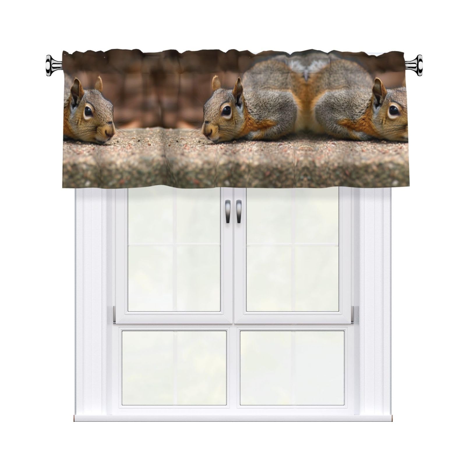 BTCOWZRV Squirrel Just Laying Curtain Valance for Windows,Kitchen Window Curtains Blackout Drapes Window Treatments Decorative Rod Pocket Short Curtain for Living Room Bedroom,54" W x 18" L