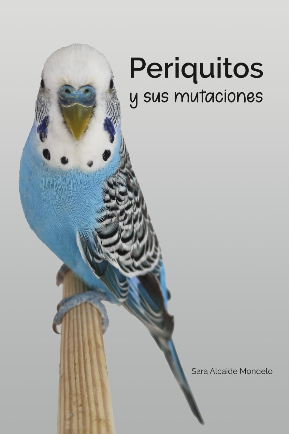 Periquitos y sus mutaciones (Spanish Edition)      Paperback – August 31, 2024