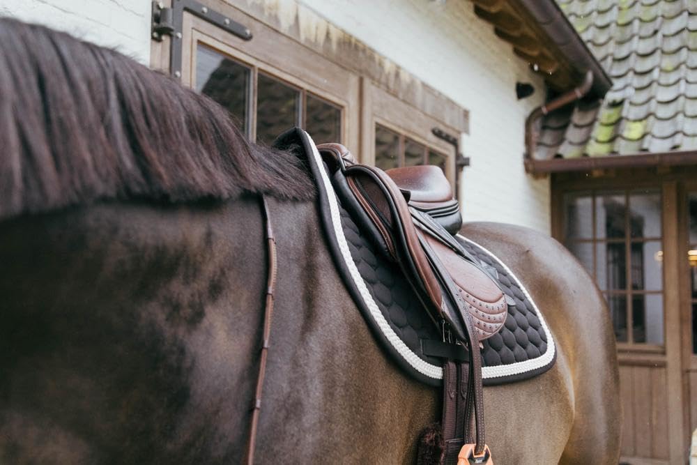 Kentucky Horsewear - Sottosella con cordoncino intrecciato - sottosella - saltare - nero