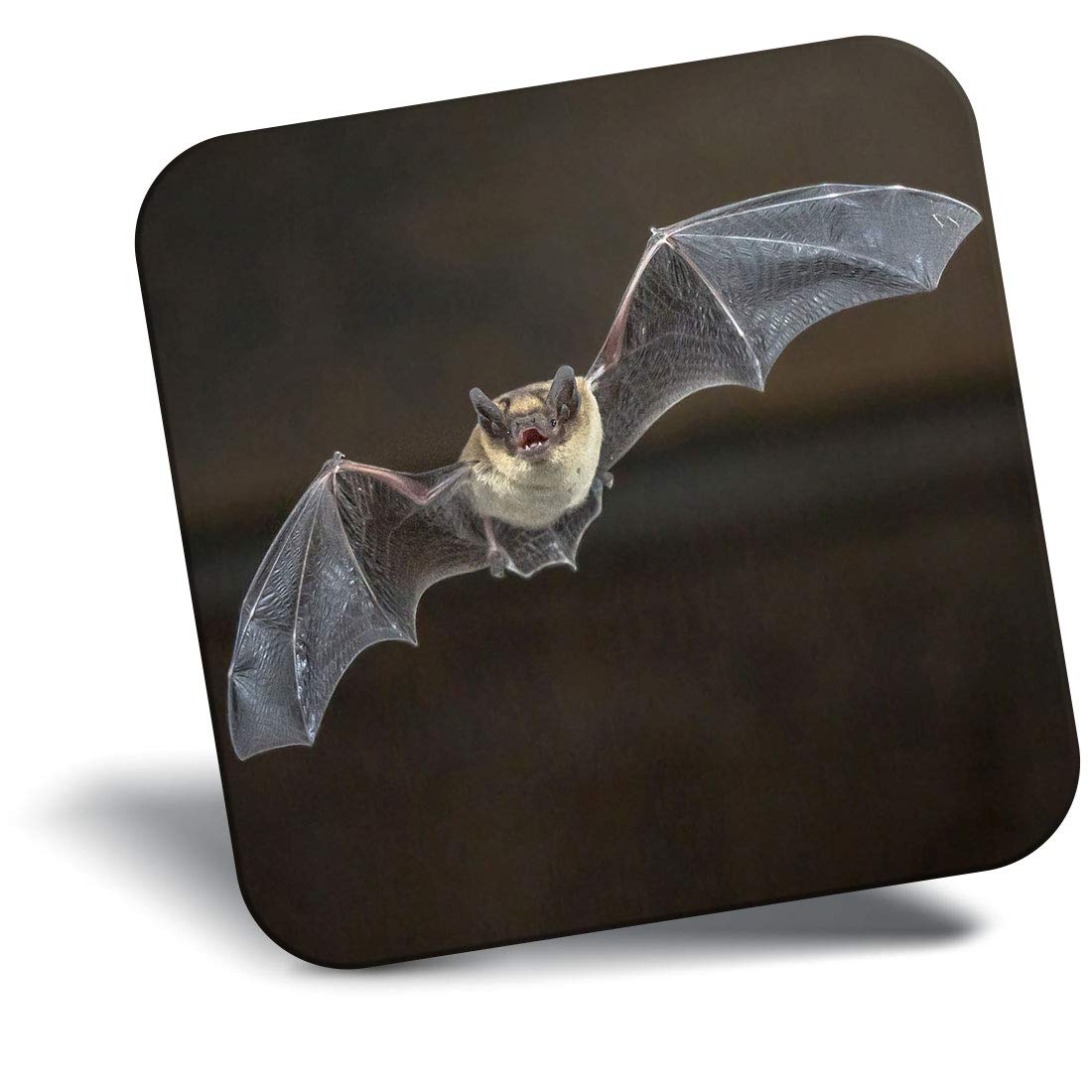 Destination Vinyl Ltd Fridge Magnet - Pipistrelle Gothic Flying Bat 15730