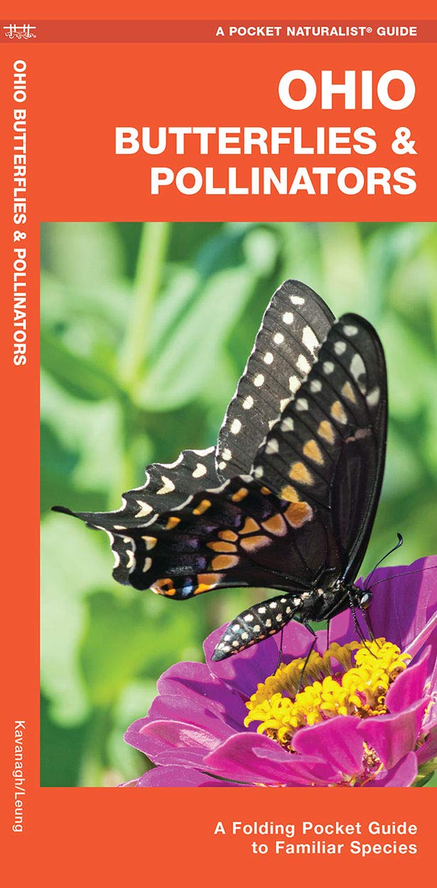 Ohio Butterflies & Pollinators: A Folding Pocket Guide to Familiar Species (Nature Observation North America)