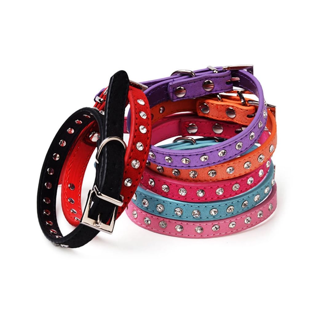Mdurian Echtes Leder Metallknochen Nieten Hundehalsband Sicheres Und Bequemes Verstellbares Halsband Für Kleine Mittelgroße Hunde (XS, Blau