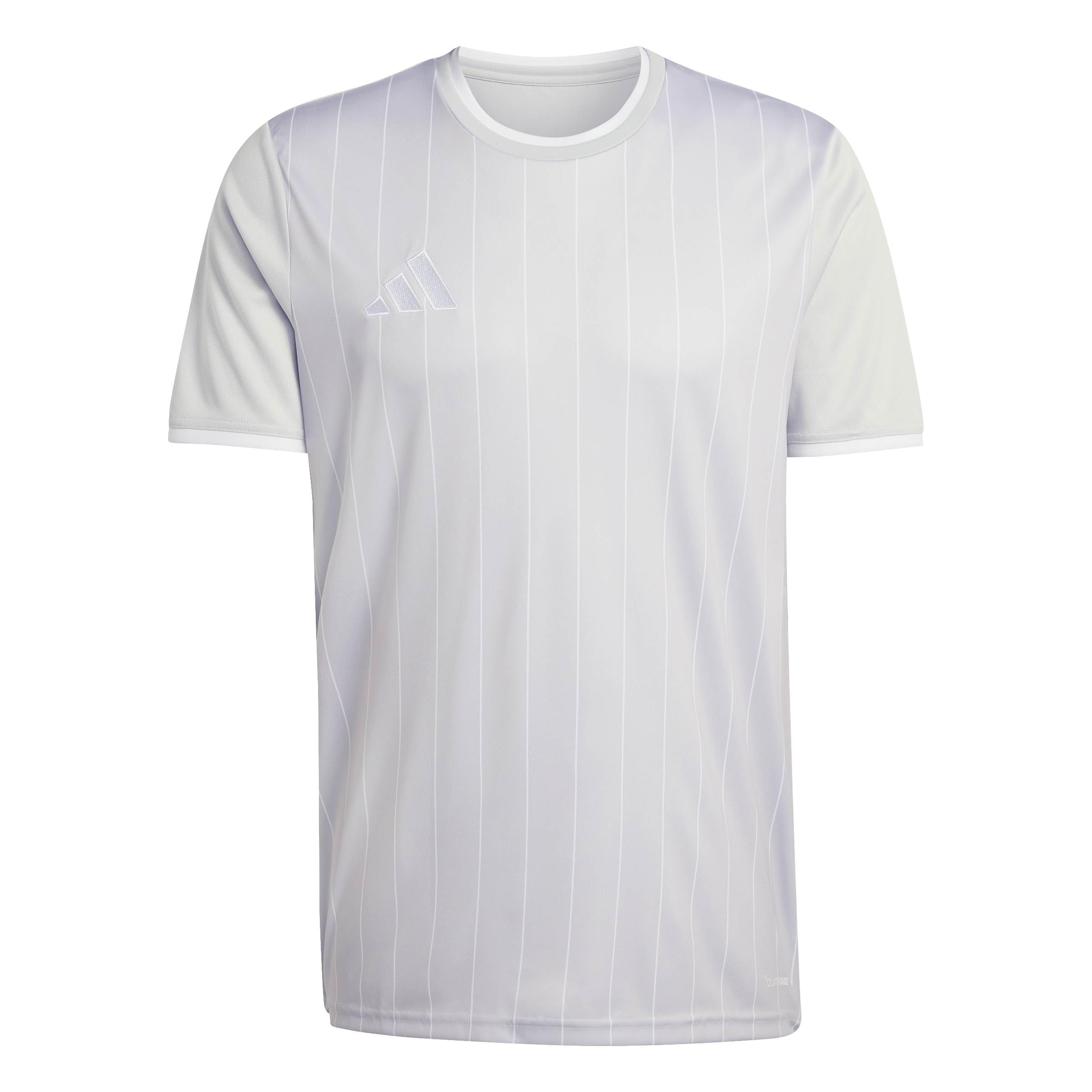 adidas Men's Entrada26 Graphic Jersey Shirt, Team Light Grey/White, M