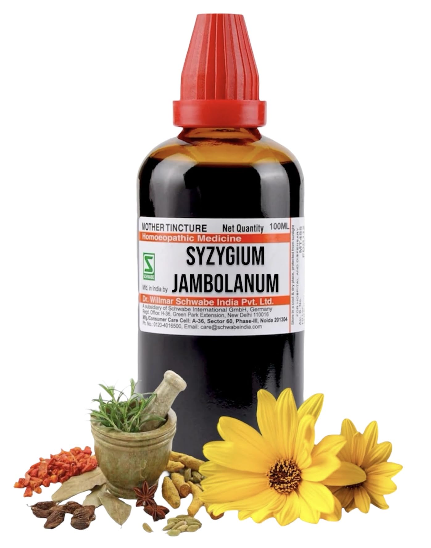 Med-14 Schwabe Syzygium Jambolanum Mother Tincture Q - 100ml (B0CWMBSC84) Amazon Price History, Amazon Price Tracker