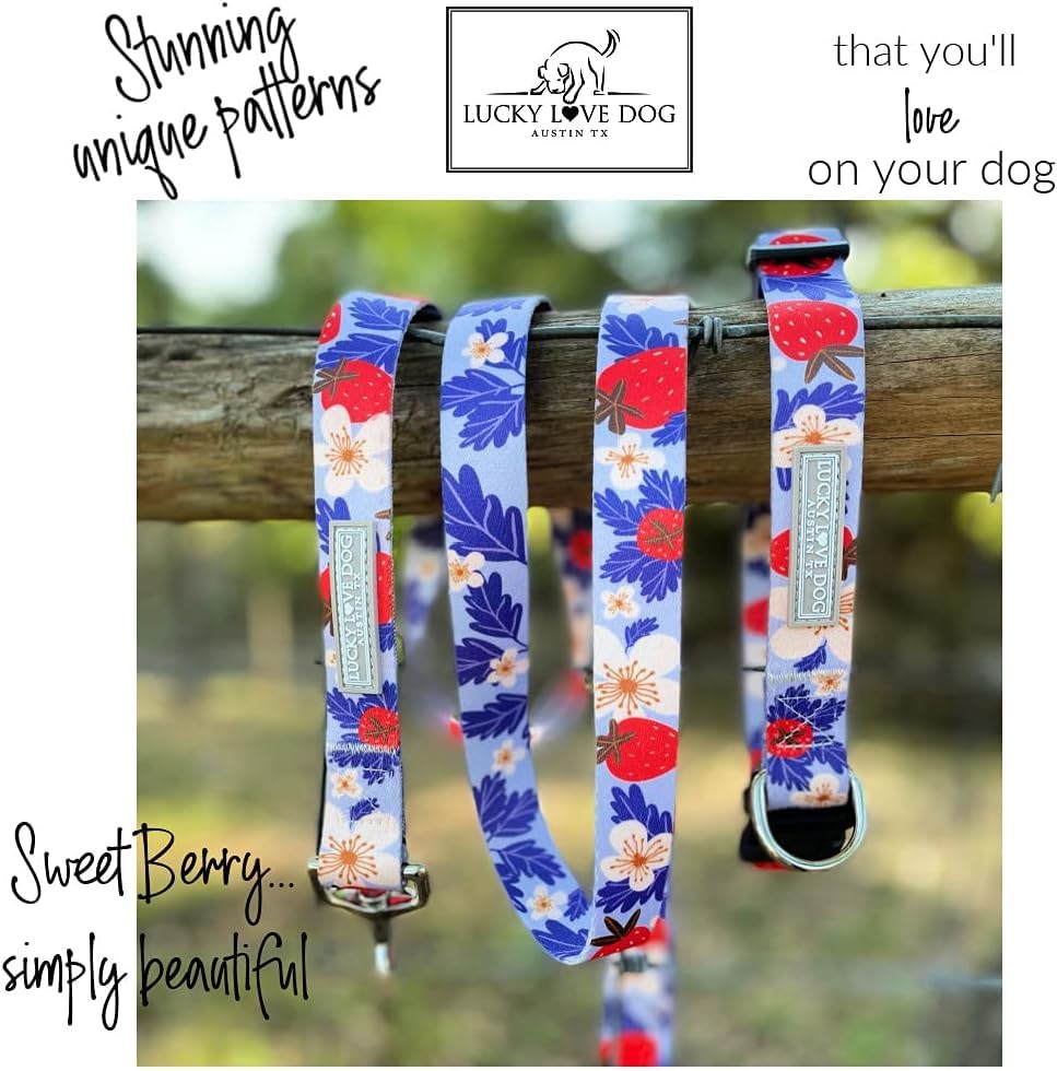 Lucky Love Dog Martingale Collar and Leash Set, Premium Fun Girl No Slip Collars, Strawberry Martingale Dog Collar and Leash Set, Great for Whippets, Greyhounds, and More (Sweet Berry, Small - Combo) - Image 3