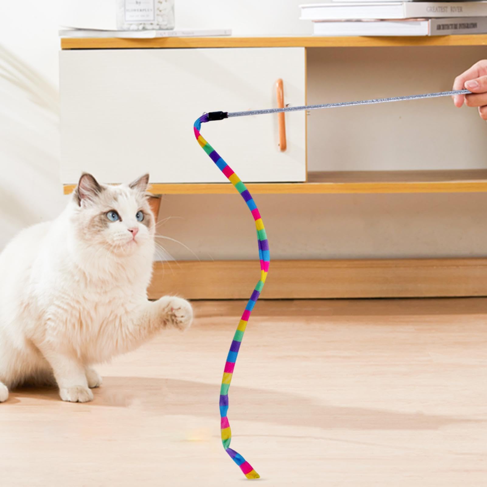 Amazon.co.jp: レインボーキャットワンド, 紐おもちゃインタラクティブ