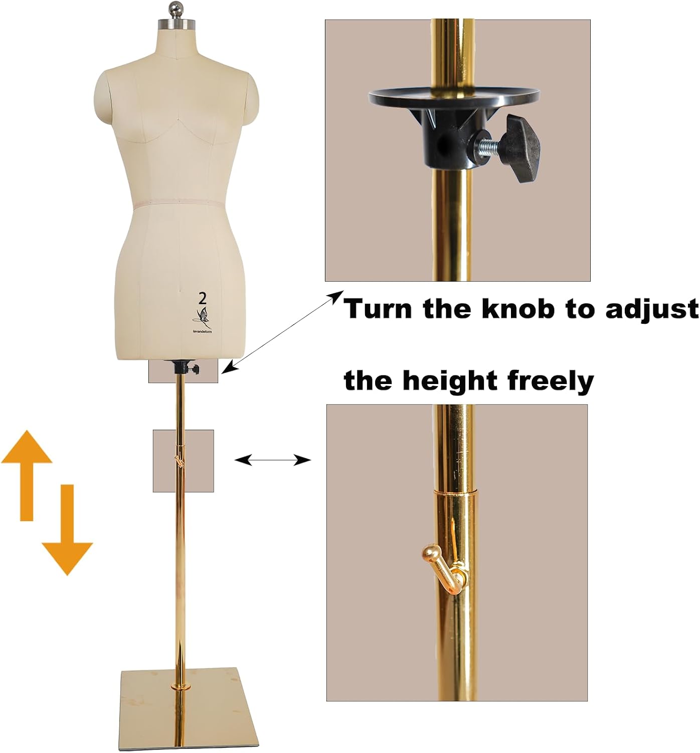 Female Dress Model Torso Body Clothing Forms,Sewing Mannequin Foam Body for Pinning.Height Adjustable Stand. (Beige, 2)