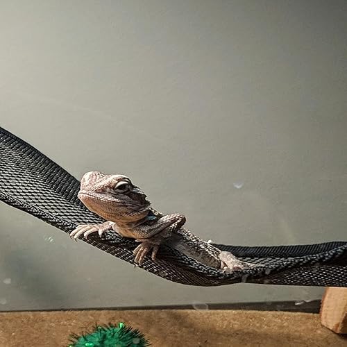 Vista 5 de Hamaca de lagarto dragón barbudo, 2 piezas, hamaca de reptil de malla transpirable, adecuada para iguanas, ánoles, geckos, serpientes, camaleón Negro
