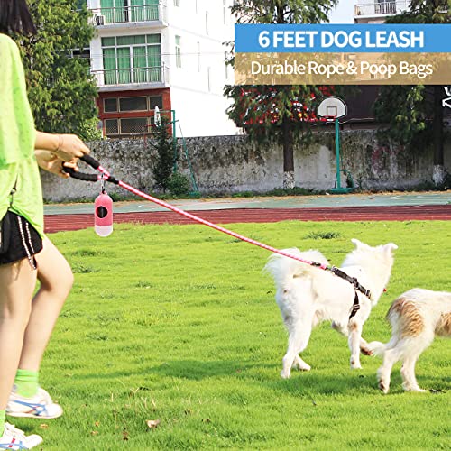 BAAPET 2/4/5/6 FT Dog Leash with Comfortable Padded Handle and Highly Reflective Threads for Small Medium and Large Dogs (6FT-1/2'', Pink) - Thumbnail 5