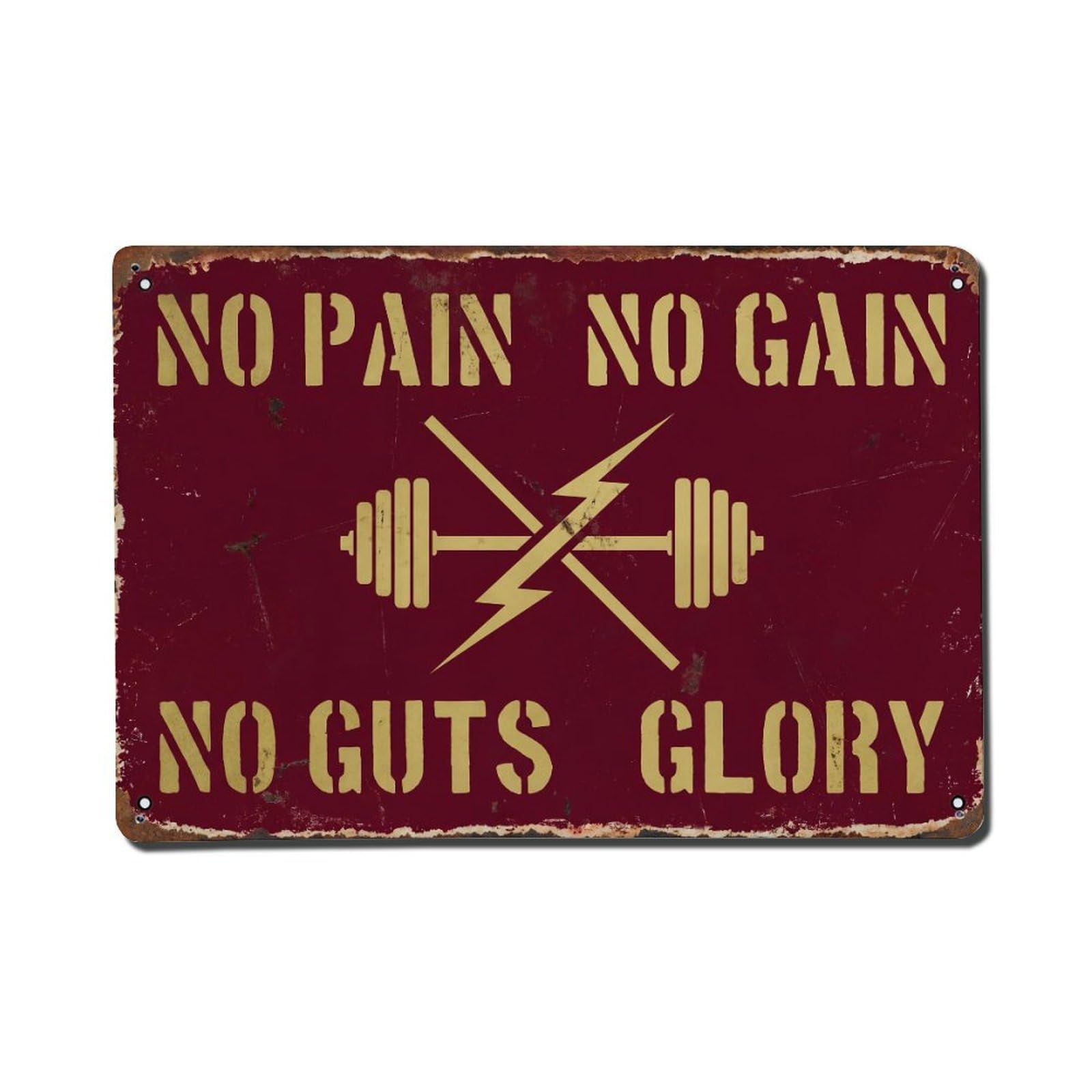 No Pain Gain Guts Retro Motivational Slogans 2 Metal Tin Sign Plaque Wall Decor for Cafe, Club Bar, Office, Home Garden Metal Poster 8x12Inch