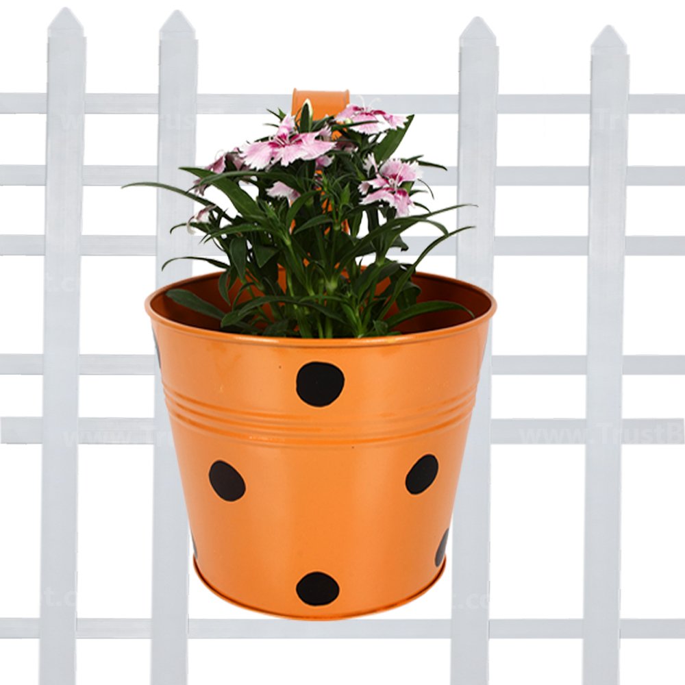 TrustBasket Single Pot Railing Plant with Polka Dots (Pack of 1) - (Orange) Dotted Railing Metal Planters for Balcony and Home Gardening, Indoor, Outdoor (B01DXR8R5Q) Amazon Price History, Amazon Price Tracker