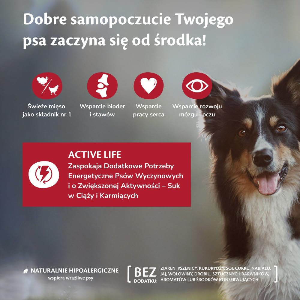 Wellness CORE Active Life 10 kg, Kurczak i Indyk – Sucha Karma dla Psów Wszystkich Ras, Bezzbożowa, Naturalna, Hipoalergiczna, Wysoka Zawartość Mięsa, Wspiera Aktywne Psy i Suki w Okresie Laktacji
