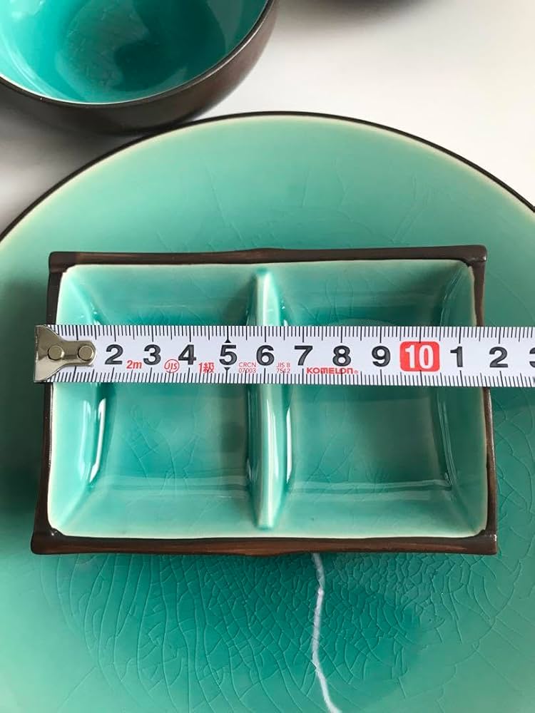 陶器「天の川・天嵐」 DINOSAUR くらわんか皿 トリケラトプス《studio wani》 | 24to3