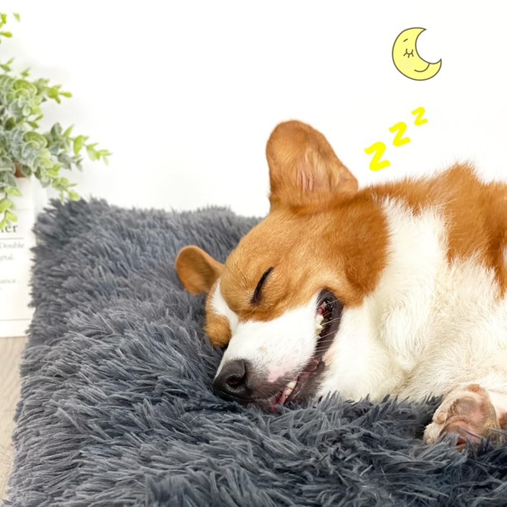 Hundebett Waschbar,Plüsch Flauschig Hundekorb Hundebett,Haustierbett,Hundesofa,Hundekissen,Rutschfestes Hundematte,Weich & Bequem,für Kleine,Mittlere Große Hunde Katzen,Dunkelgrau