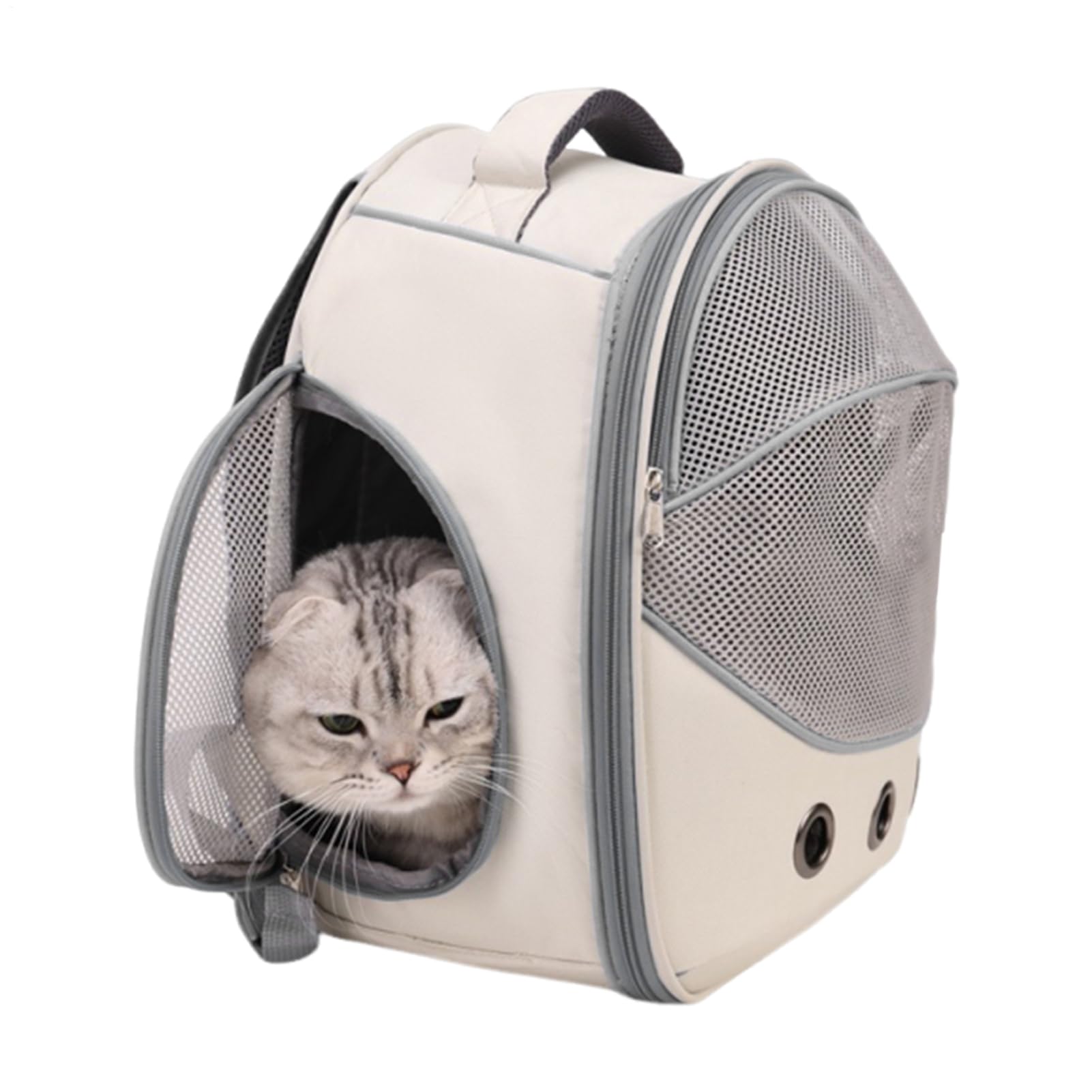 Sac de transport pour chiens et chats pliable et résistant aux rayures pour petites excursions