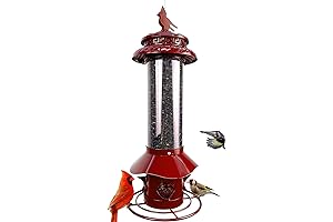 Finch Feeders for Thistle Seed - Outdoor Hanging Wild Bird Feeders with Chew-Proof Design