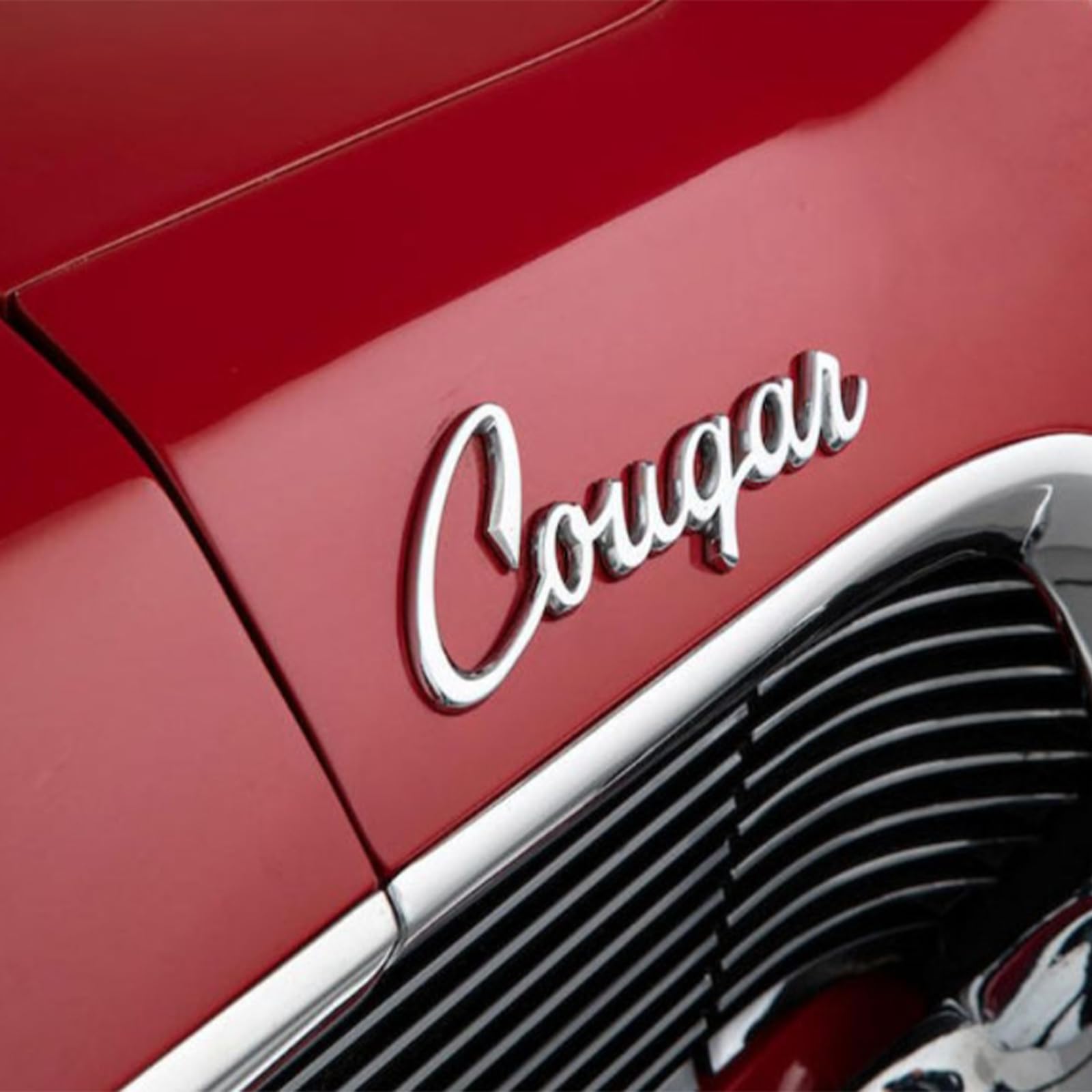 Custom Car Emblems, Stainless Steel Word, Automotive Badges with Durable Metal Design and Firm Adhesive, Personalized Gift for Friends, Families. Compatible with Automobile, Motorcycle, Boat