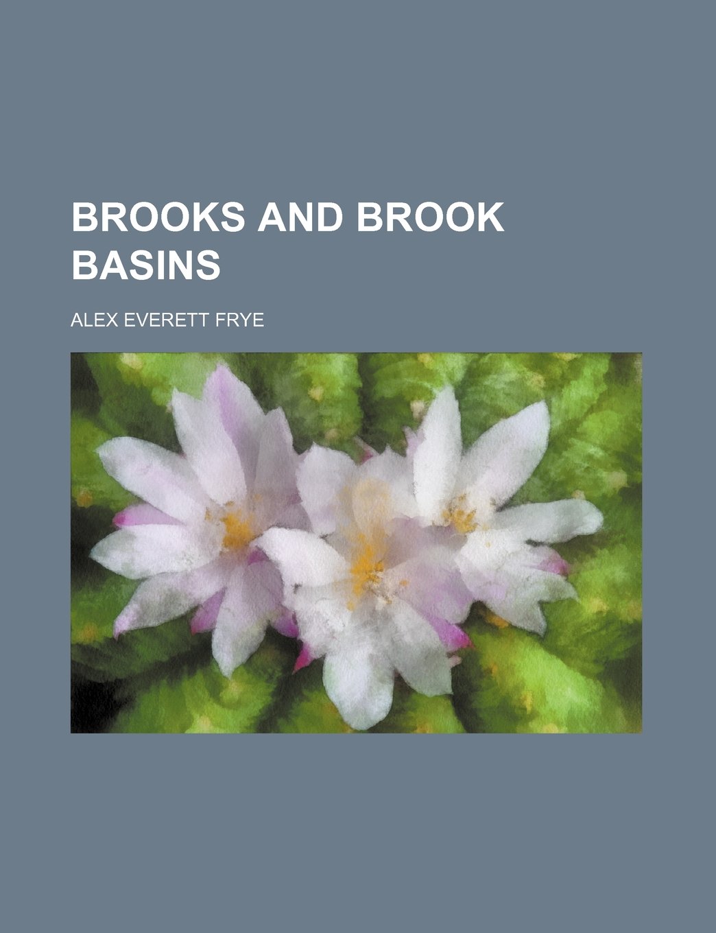 Brooks and Brook Basins