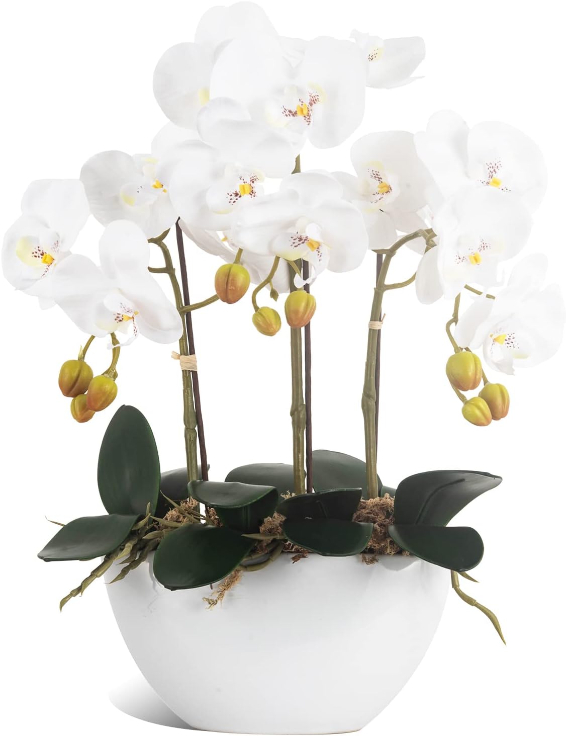 Ziwon Artificial Orchid Flowers Potted in Ceramic Pot, White Faux Phalaenopsis Orchids for Table Centerpiece, Realistic Fake Flower in vase for Home Office Decor Indoor