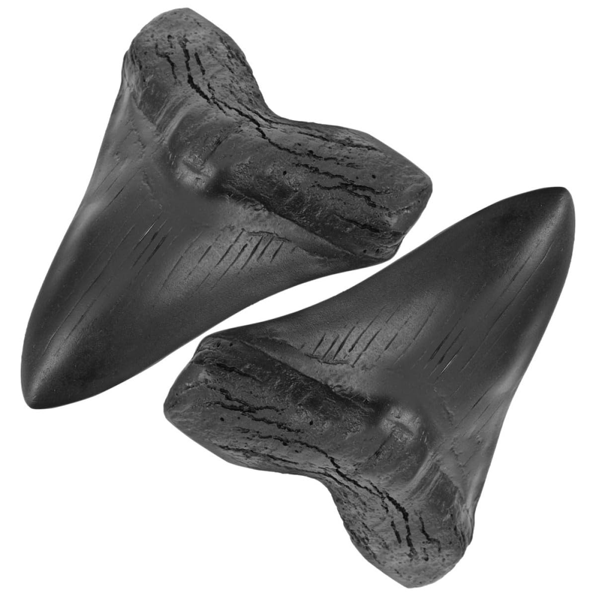 Réplicas de Dientes de Megalodón de Resina, 2 Piezas para Coleccionistas