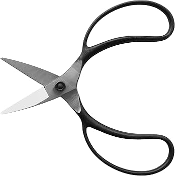 [5個セット] 岡恒 植木鋏 ハサミ はさみ No.221 200mm 日本製 Amazon | 岡恒(Okatsune) 221 岡恒 植木鋏D型 箱入 | 園芸用はさみ