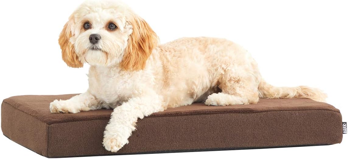 Barkbox Memory Foam Platform Dog Bed Plush Mattress for Orthopedic