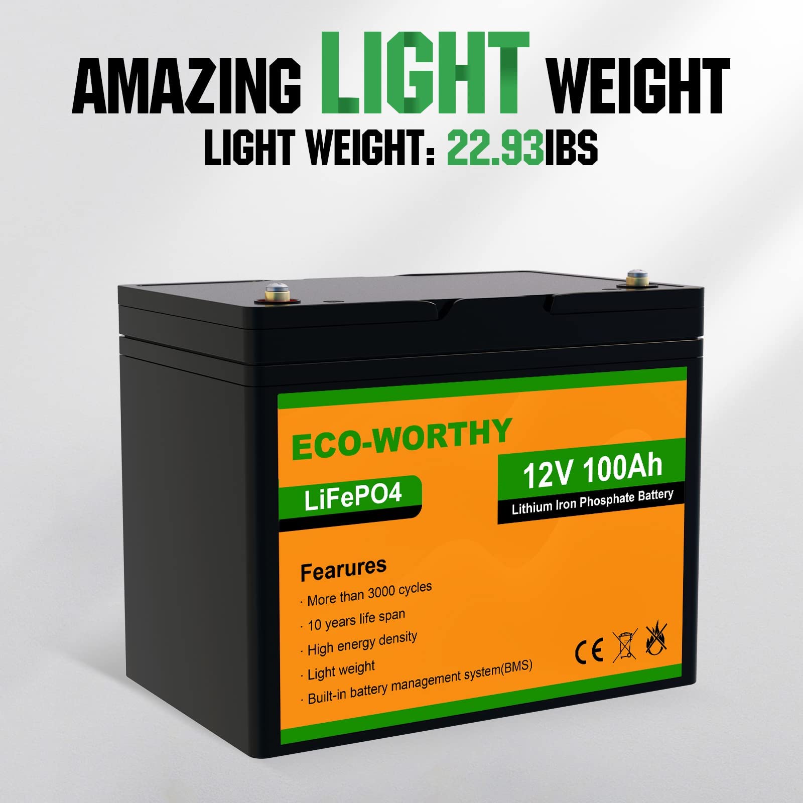 ECOWORTHY 12V 100Ah LiFePO4 Lithium Iron Phosphate Battery Deep Cycle