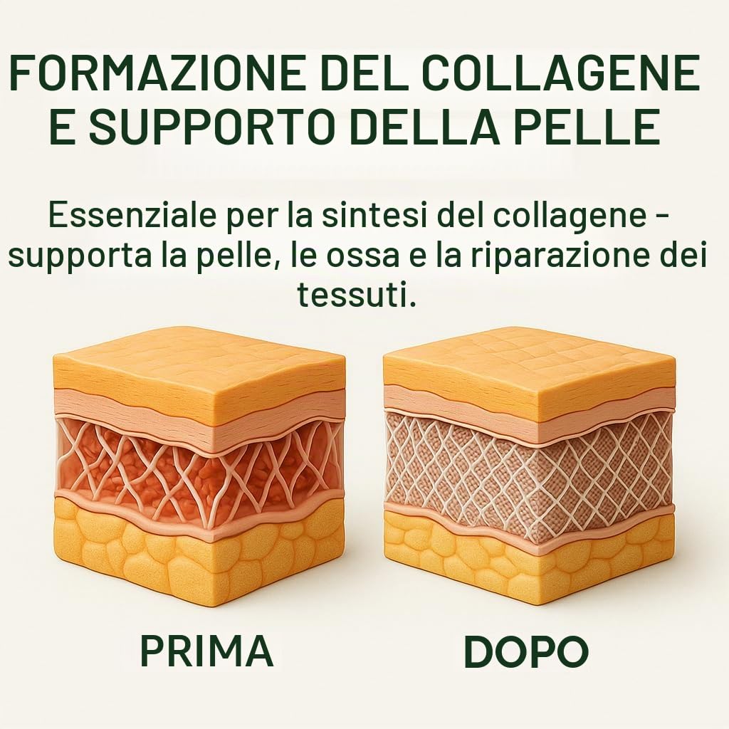 Gideli Vitamina C polvere 10 kg puro integratore alimentare acido L-ascorbico antiossidante sistema immunitario supporto