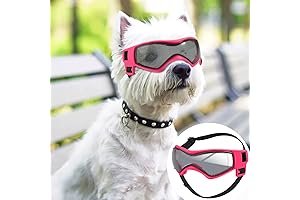 QUMY Dog Goggles: UV Protection for Small to Medium Breed Dogs