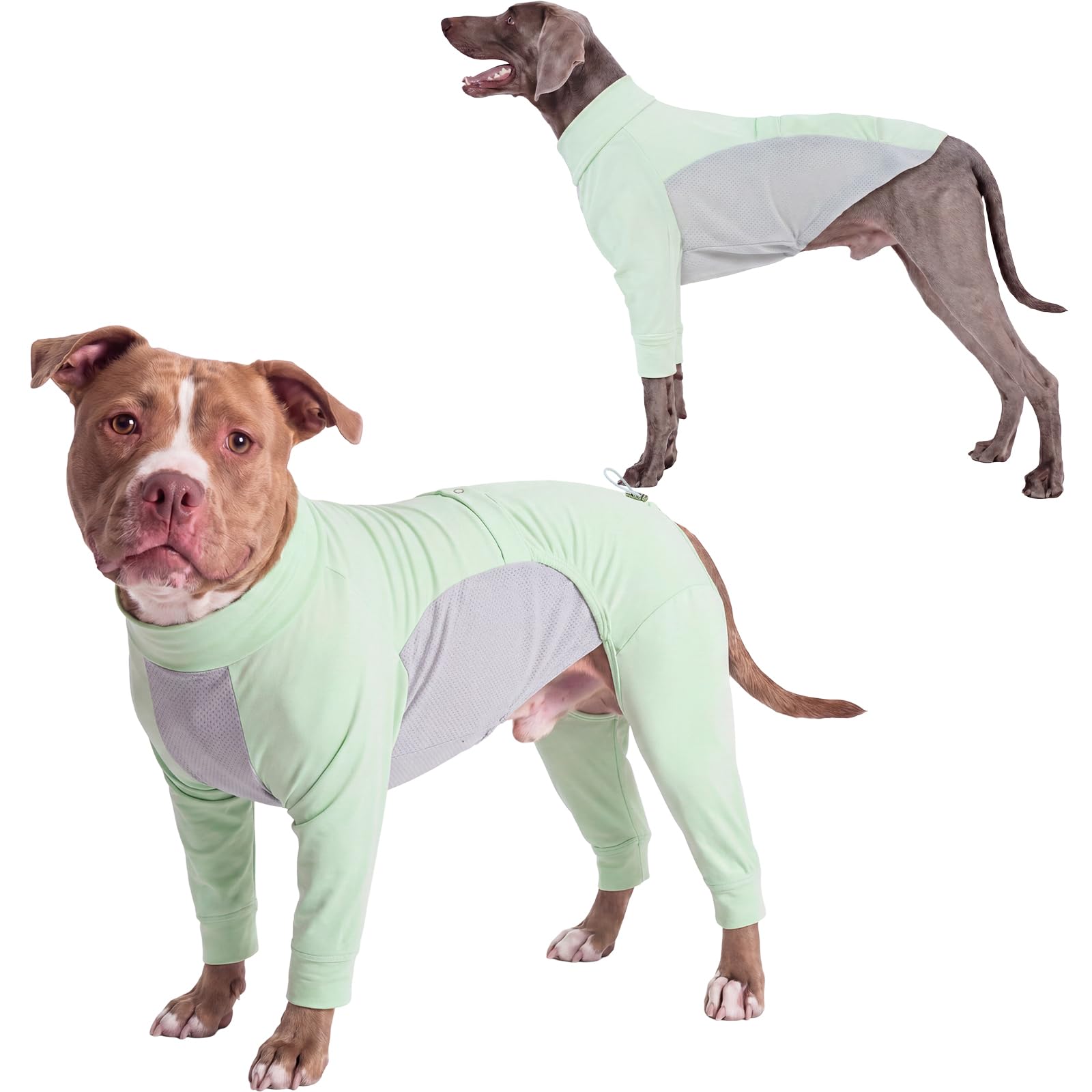 Dog Cooling Vest, UV Protection Dog Shirt 2 in 1 Full Body Suit Summer Soft Sunblock T-Shirts Sun Protection Clothing, Full Coverage for Wounds, Breathable Summer Vest from Grass Seeds(Green, XL)