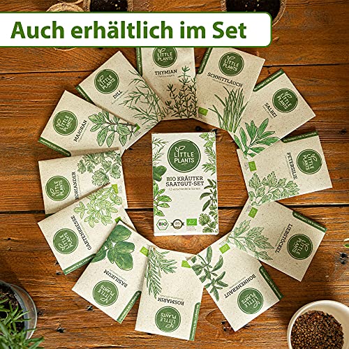 Little Plants BIO-Liebstöckelsamen (Levisticum officinale) Maggikraut | BIO-Kräutersamen | Nachhaltige Verpackung aus Graspapier | Kräuter-Samen | BIO-Saatgut für ca. 80 Liebstöckel-Pflanzen - Image 8